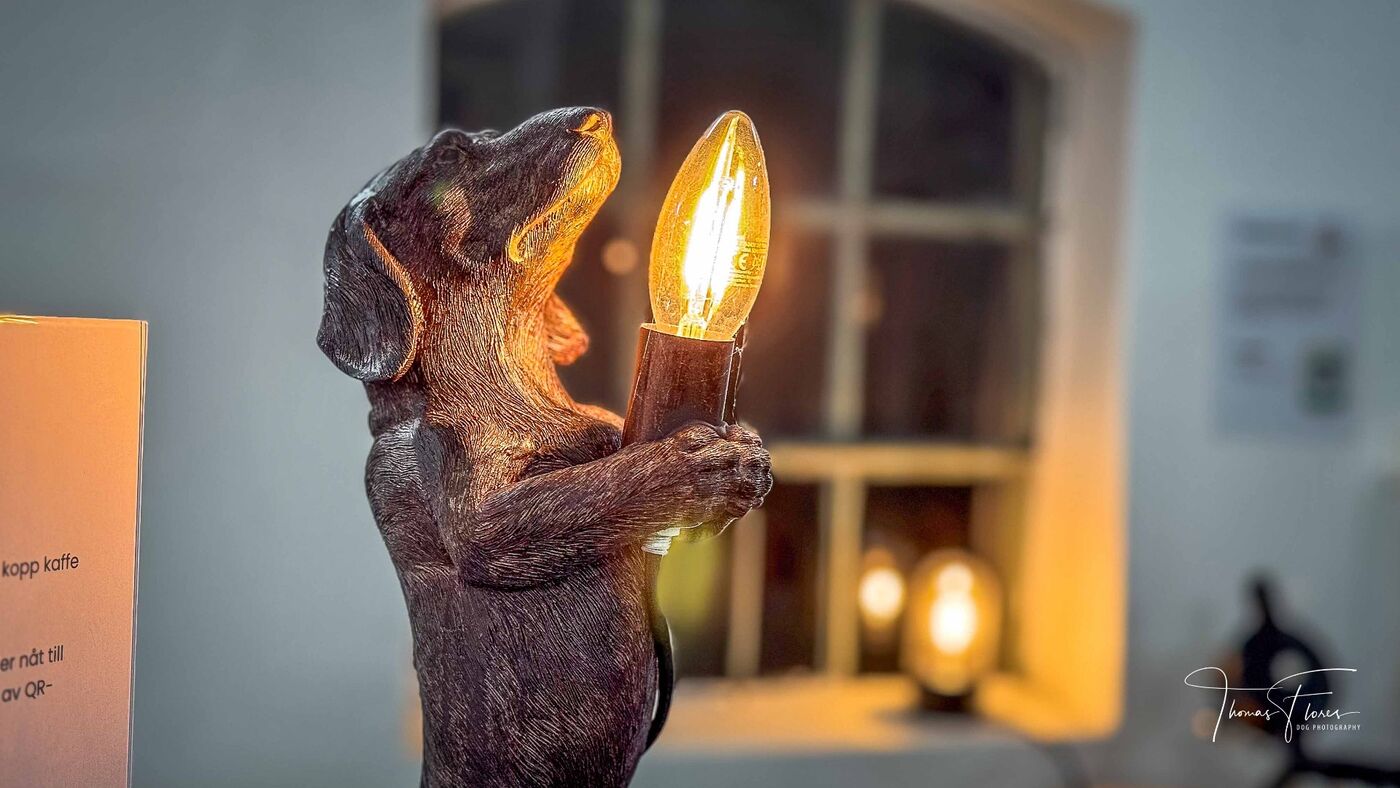 Hundlampa med varmt ljus