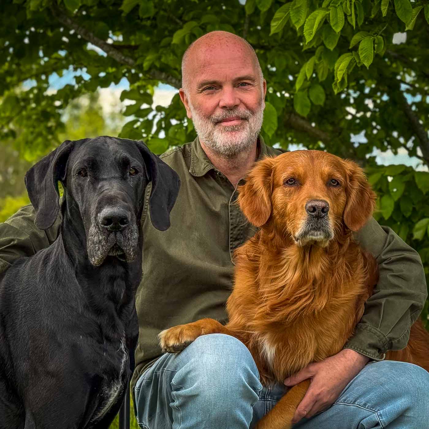 Jonas, butikens ägare, med sina två hundar under ett träd